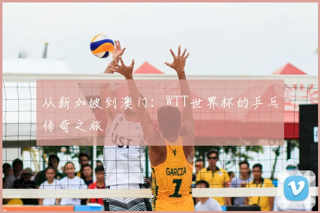 从新加坡到澳门：WTT世界杯的乒乓传奇之旅