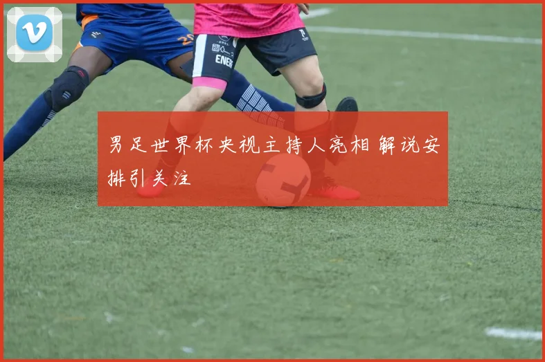 男足世界杯央视主持人亮相 解说安排引关注