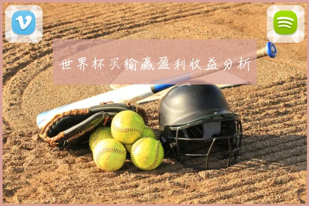 世界杯买输赢盈利收益分析