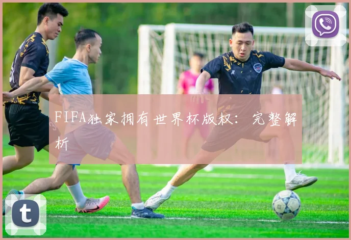 FIFA独家拥有世界杯版权：完整解析