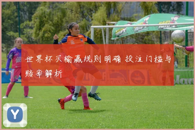 世界杯买输赢规则明确 投注门槛与赔率解析