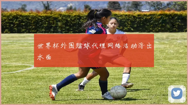 世界杯外围赌球代理网络活动浮出水面