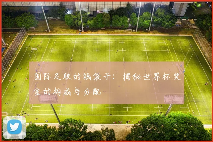 国际足联的钱袋子：揭秘世界杯奖金的构成与分配