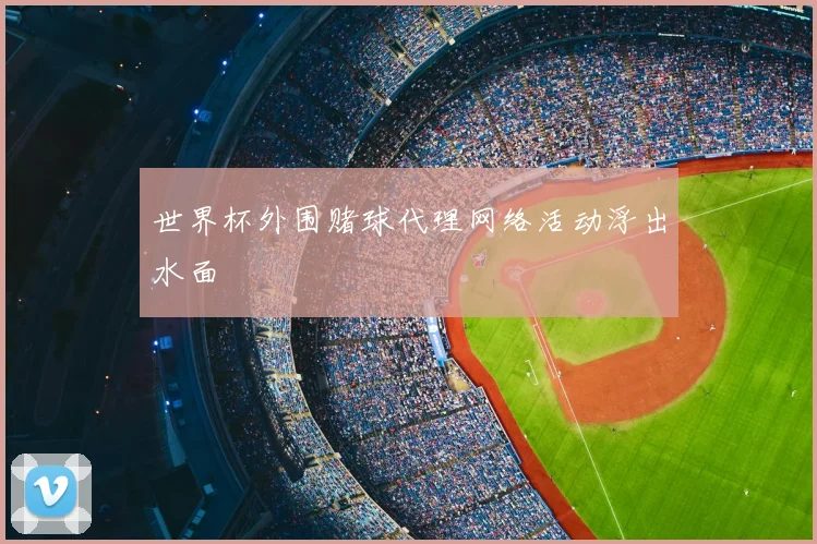 世界杯外围赌球代理网络活动浮出水面