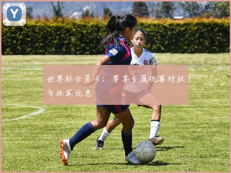 世界杯会员卡：尊享专属观赛特权与独家优惠