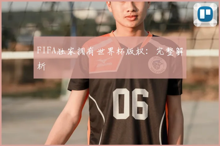 FIFA独家拥有世界杯版权:完整解析