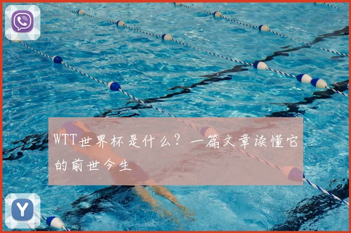WTT世界杯是什么？一篇文章读懂它的前世今生