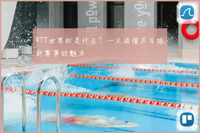 WTT世界杯是什么?一文读懂乒乓球新赛事的魅力