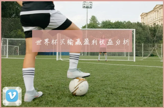 世界杯买输赢盈利收益分析