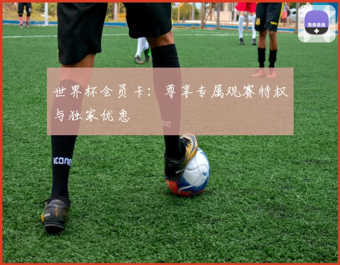 世界杯会员卡:尊享专属观赛特权与独家优惠