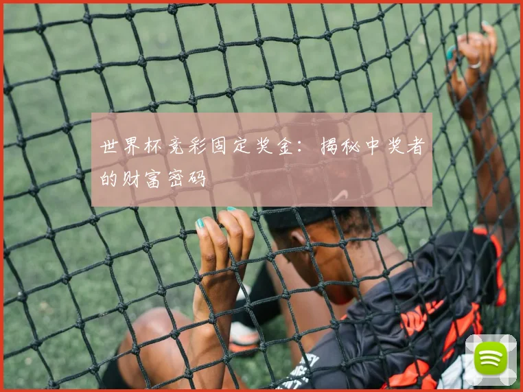 世界杯竞彩固定奖金:揭秘中奖者的财富密码