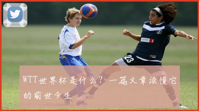 WTT世界杯是什么?一篇文章读懂它的前世今生