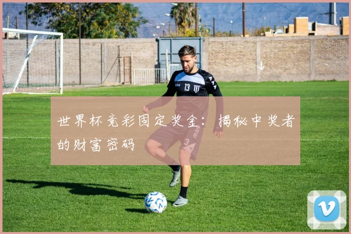 世界杯竞彩固定奖金：揭秘中奖者的财富密码